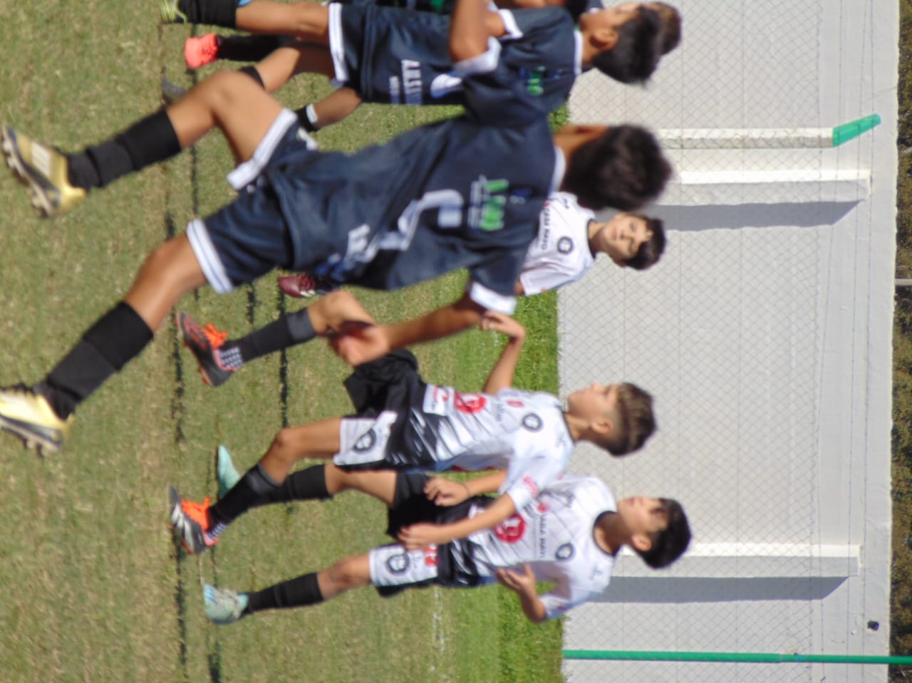 Imagen 2